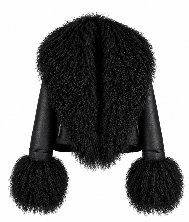 Winter Warm Faux Leather  fur Collar Jacket Main Image